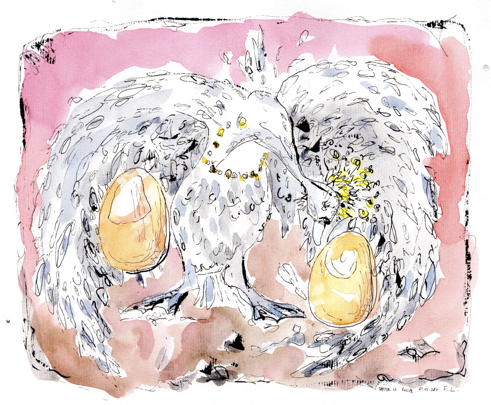 Castor et pollux