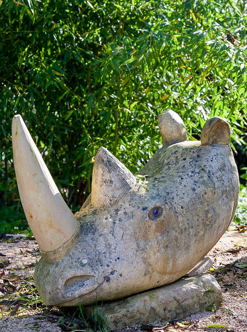 Rhino